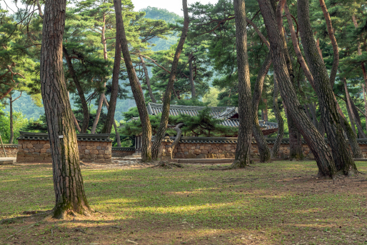 주변 관광지